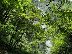 -瓦屋山景区
