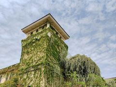 -府河摄影公园