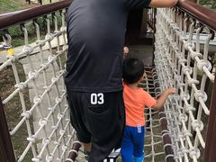 -欢乐松鼠谷