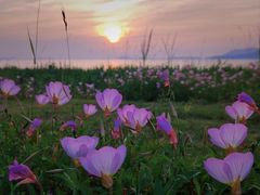 -西山风景区