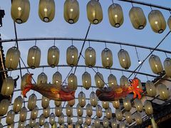 -婺源梦里老家大型山水实景演出