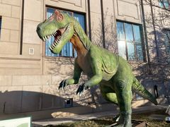 -国家自然博物馆