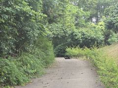-白云山风景名胜区