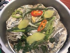 -千岛蚝高压锅生蚝·人参火锅(白云万达店)