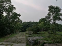 -上海海湾国家森林公园