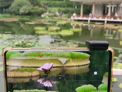 -国家植物园南园