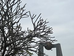 -青澳湾北回归线广场