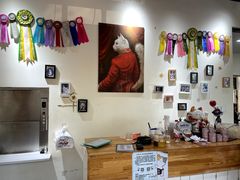 -猫小院猫主题餐厅(南锣旗舰店)