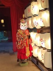 -金夫人婚纱摄影(总店)