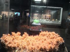 -湖南省地质博物馆