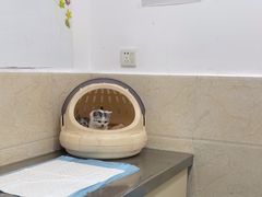 -仁华宠物医院(青羊店)