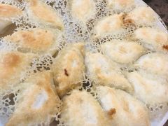 荷心鲜肉煎饺-周家大连水饺(美专校街店)