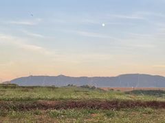 -光明农场大观园