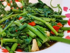 炒空心菜-Doo Dee Thai Food(Issan/Isaan/Esan)