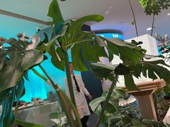 -桂满陇·蟹黄小笼汤包(巴黎春天浦建店)