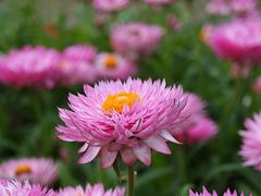 -福田红树林生态公园