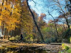 -波尔登森林公园