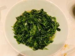 -席家花园(巨鹿花园店)