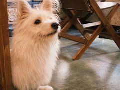 -绿房子方寸咖啡(星海名城店)