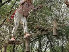 -东方巨龟苑景区