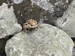 -书隐楼
