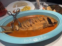 -阿五黄河大鲤鱼(英协路店)