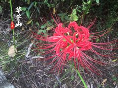 -宝鼎风景区