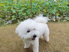 -沐仙湖湿地公园