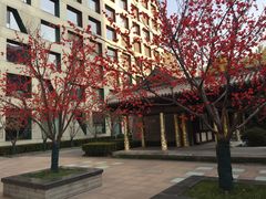 -和美电影艺术中心(万国城店)