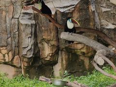 -上海野生动物园