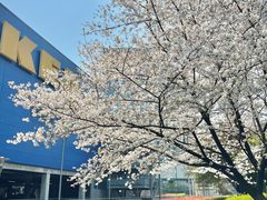 -IKEA宜家家居(南京商场)