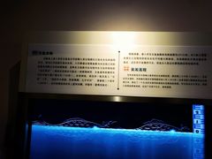 -白鹤梁水下博物馆