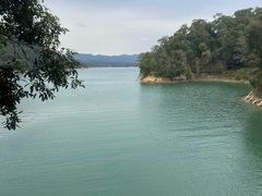-广州市流溪河国家森林公园