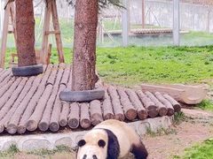 -西安秦岭野生动物园