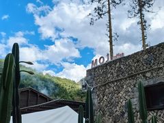 -MOJ coffee(瓯海泽雅水碓坑店)