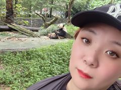 -都江堰中华大熊猫苑