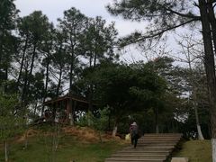 -八仙山公园