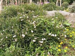 -浔庐餐厅•江西老字号•九江菜(南湖国际店)