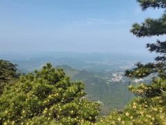 -九华山风景区