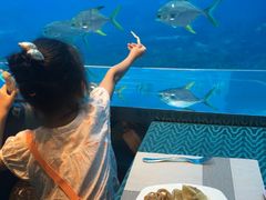 -瑞德姆美人鱼海底演艺主题餐厅(亚龙湾店)