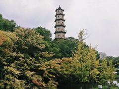-江心屿景区