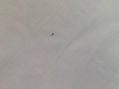 -比格比萨(烟台龙口博商店)