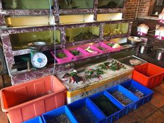 水产区-百年银屏蚝烙·潮汕菜·非遗(乐山店)