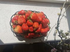 -花果山生鲜超市(浑河湾店)