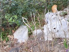 -静安公园(静安寺街道)