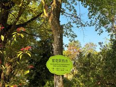 -云南勐巴娜西珍奇园