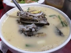 -阿胖鱼店