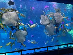 -泉城欧乐堡海洋极地世界