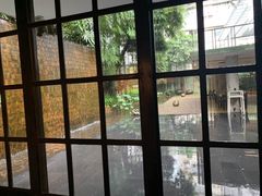 -Izumi Japanese Kitchen