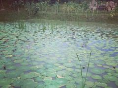 -北纬44度·金珠花海休闲农业旅游景区